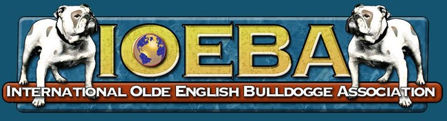 IOEBA certified breeder of Olde English bulldogges