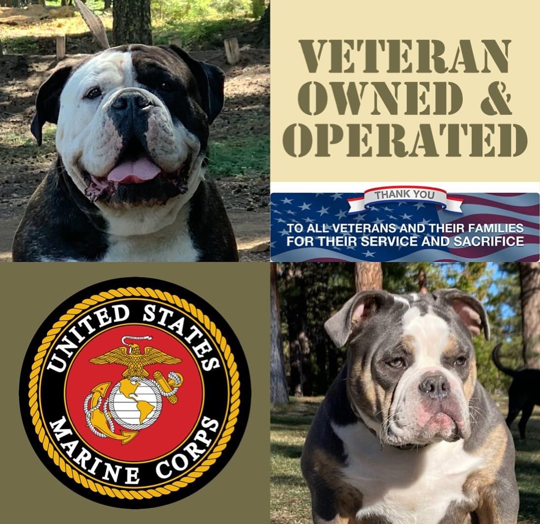 Freedom Mountain Bulldogges - Marine Corps Veteran Owned and Operated