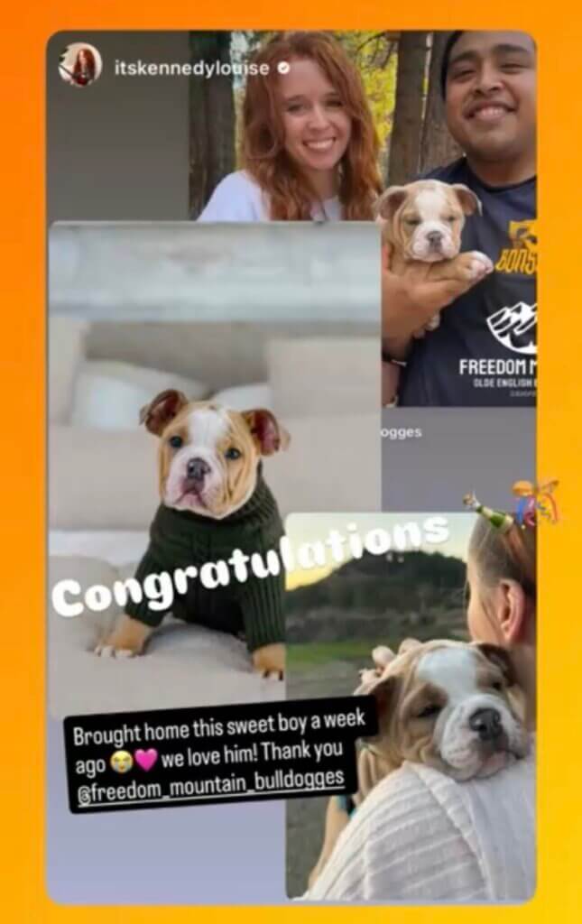Freedom Mountain Bulldogges Maverick and Family